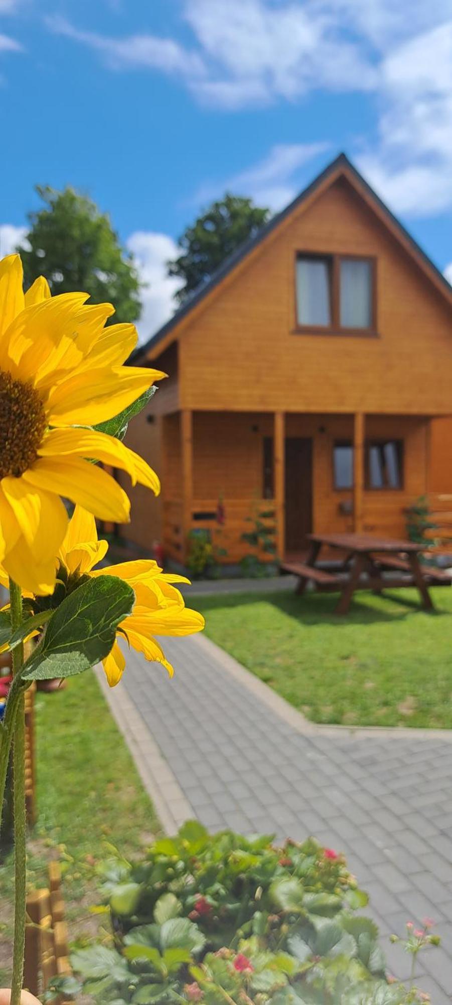 Villa Sloneczne Domki Pustkowo, 1 Minuta Do Plazy, Exterior foto